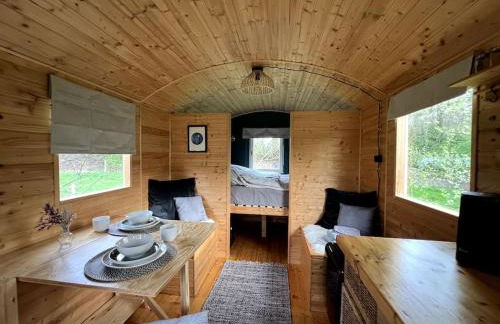 Kuscheltage im Zirkuswagen am Kanal im Münsterland - Foto 9