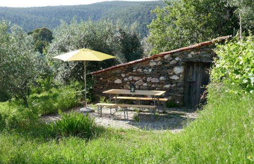 Casa Laranjeira - Foto 25