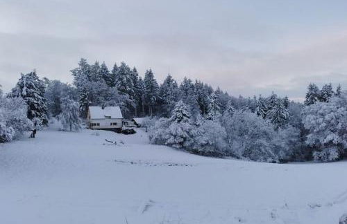 Forest Haven in Filz - Foto 39