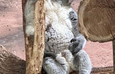 Maison familiale - Selles Sur Cher - Foto 6