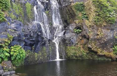 Quinta das Primas - Foto 38