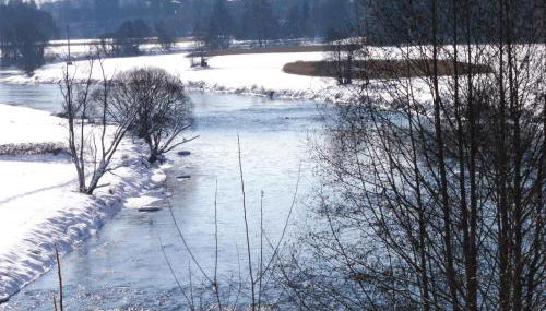 Ferienwohnung Regentalblick - Foto 4