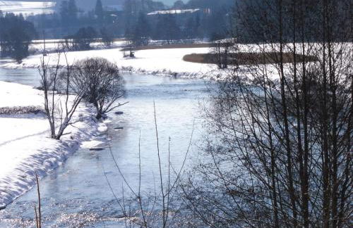 Ferienwohnung Regentalblick - Photo 4