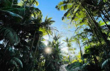 Casa do Sanca - Foto 14