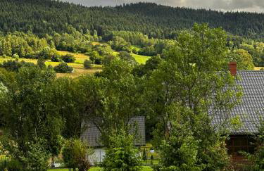 Black Deer - z Sauną na Tarasie, Jacuzzi i Widokiem na Góry - by Deer Hills Luxury Apartments - Foto 22