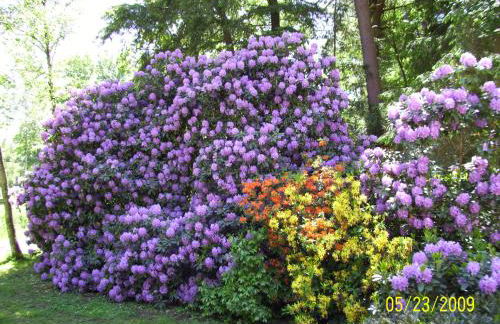 Fewo Worpswede - Foto 27