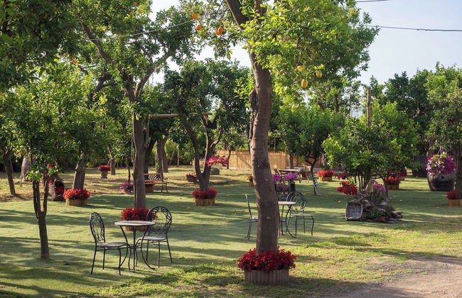 Giardino di Nonno Lucio - Foto 37