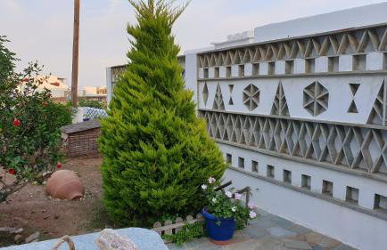 Galazio Kyma - Foto 14