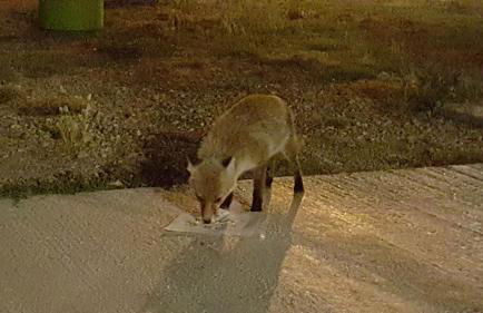 Agriturismo Mama Lina - Foto 94