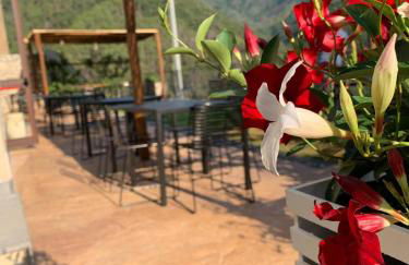 Il Giardino Dorato - Foto 74