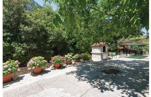 Trstenik, Karla - Foto 12