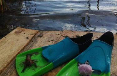 Domek nad jeziorem, a morze w gratisie - Foto 50