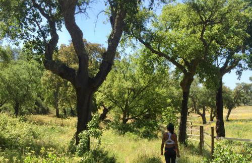 Quinta do Archino - Foto 19