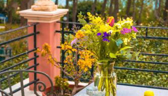 Scorpios Mansion Loft / Downtown Skala / Seaside - Foto 5, Garden, Garden view