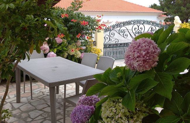 3 Bedroom Apartment in a Ground Floor of a Vila Wseparate Kitchen Living Room - Foto 50