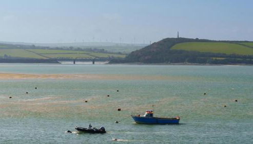 Bijou Beachfront Gem, Rock - Foto 3