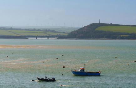 Bijou Beachfront Gem, Rock - Foto 2
