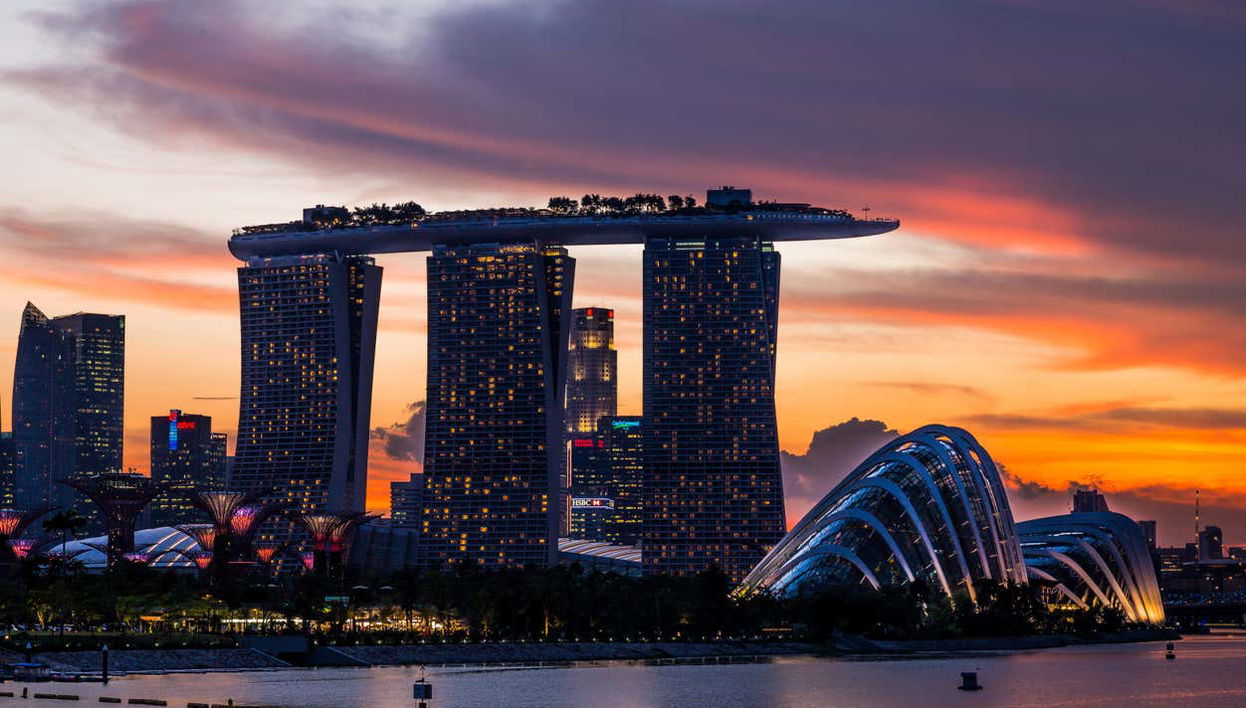 Singapore Private Tour - Photo 1