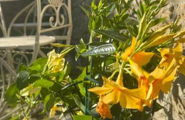 Residenza Grimerio Piano Primo - Photo 6