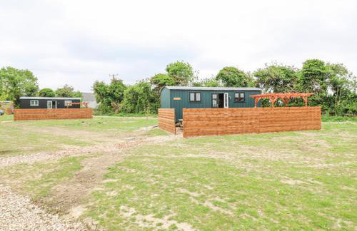 Woodpecker - Foto 21