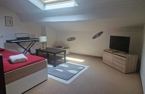 Villa basque piscine chauffée - Foto 30