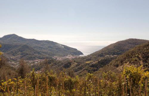 Casa degli Olivi - Foto 28