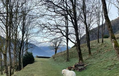 La Maison du Patou - Foto 22