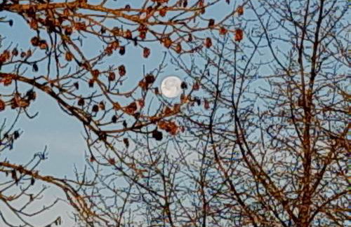 Ferienwohnung im Seidlerhof mit Terrasse - Foto 30
