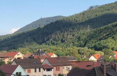 Le Kesbel entre Strasbourg et Colmar en centre Alsace - Foto 23