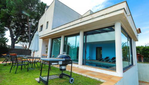 Gira-sol Planetcostadorada - Foto 3