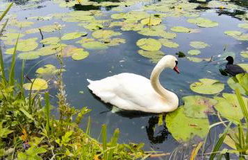 Billing Aquadrome ,3 bedrooms caravan - Photo 40