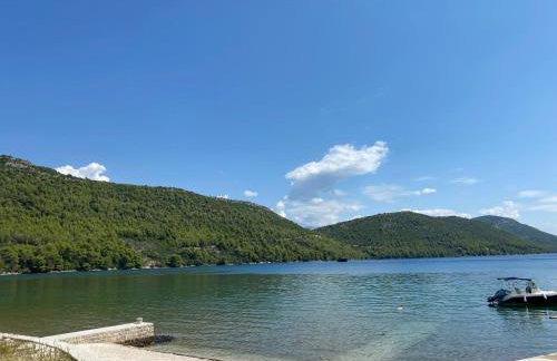 Koko's home - Photo 8