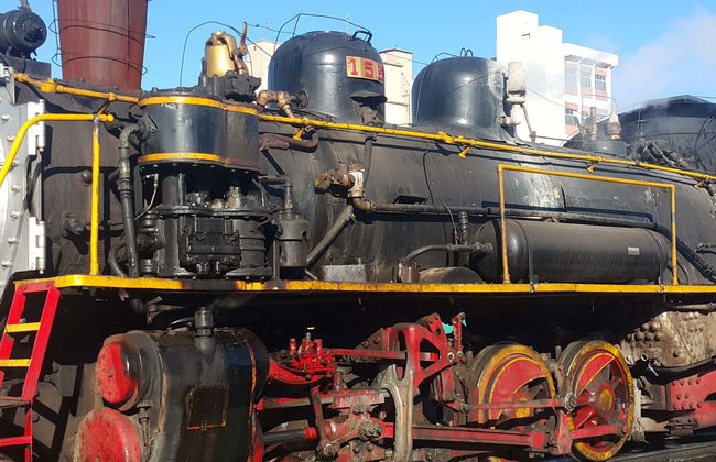 Tren Maria Fumaça + Visita a una bodega de Bento Gonçalves - Foto 3