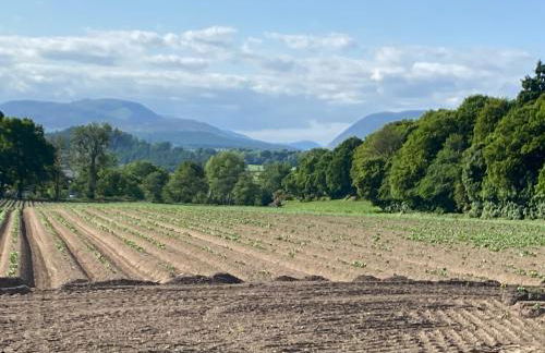 Spacious cottage - walk to Crieff - Photo 4