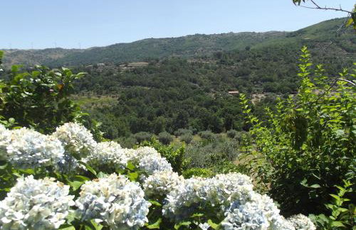 Quinta do Pina - Foto 1