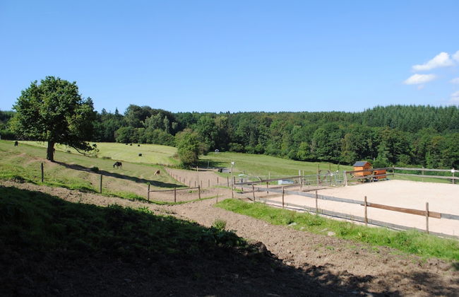 Holiday House in Horse Riding School near Stavelot & Spa Circuit - Photo 29