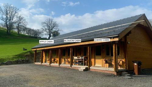 Blossom Cabin - Little log Cabin in Wales - Foto 3