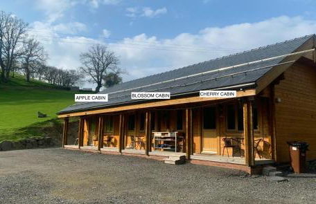 Blossom Cabin - Little log Cabin in Wales - Foto 3