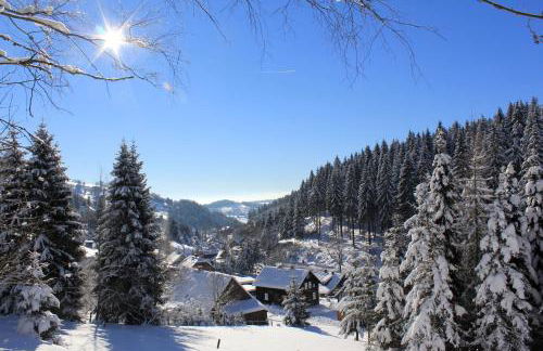 Ferienhaus Anno Dazumal, wie zu Oma`s Zeiten - Photo 22