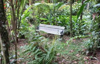 Casa de praia e campo Barra do Una Canto dos Tiês - Foto 23