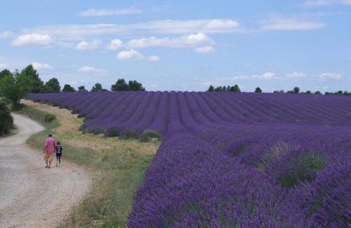 Lei Meissoun - Foto 13