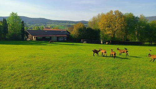 Wohnungen- Christopherhof MJ,Grafenwiesen - Foto 2