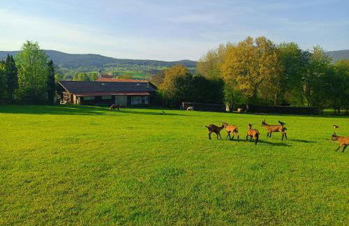 Wohnungen- Christopherhof MJ,Grafenwiesen - Photo 2