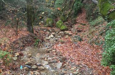 ForestRock Studio FOR SALE TOO - Foto 32