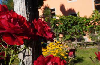 Ferienwohnung Ufer - Urlaub in der Sächsischen Schweiz - Foto 49
