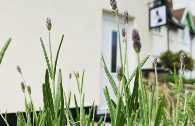 Two Bedroom Country Cottage in County Durham with Village Pub and Free Parking For Holidays and Work Stays - Foto 15