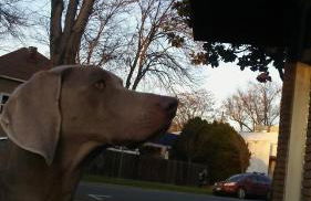 IreneHouse Victorian INN - Photo 28