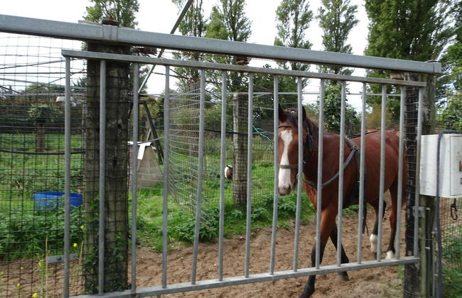 France Terraced House Near White Sand - Foto 14