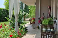 Mimosa Apartments - Foto 7