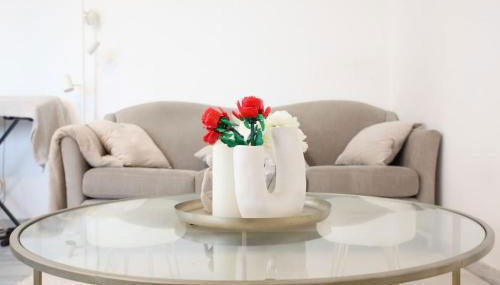 Grand T3 5min Stade Pierre Mauroy - Foto 1